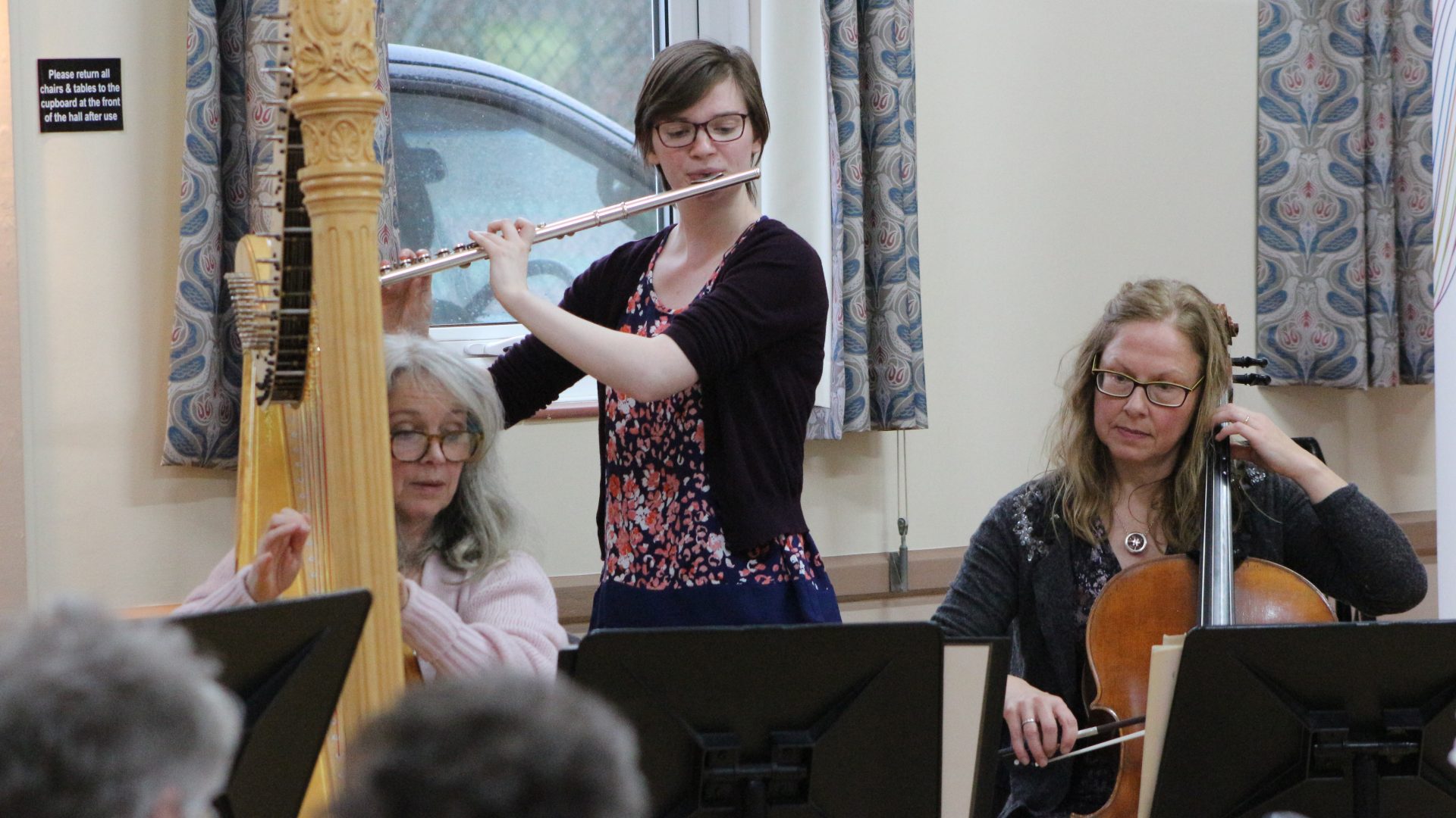 Musician playing at a Cake Concert