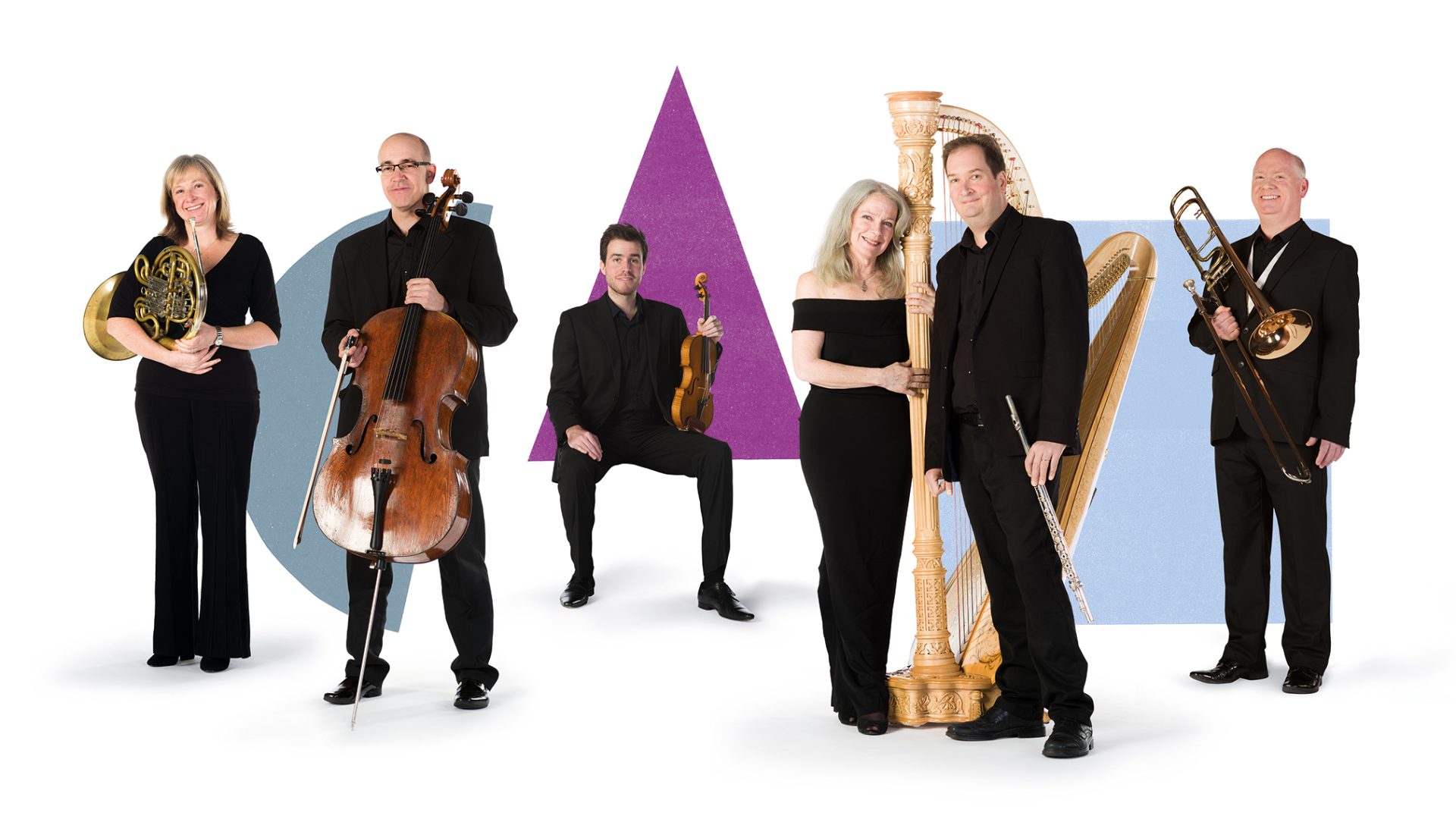 BSO French horn player, Cellist, Violist, Harpist, Flautist and Trombone player