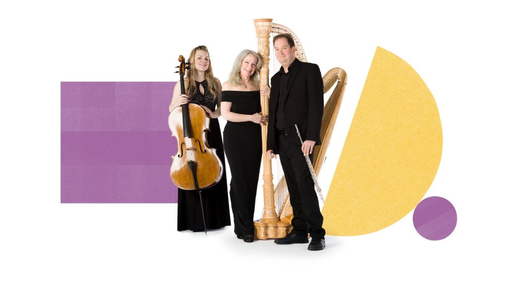 Brahms Symphony No.3 Copy Bournemouth Symphony Orchestra