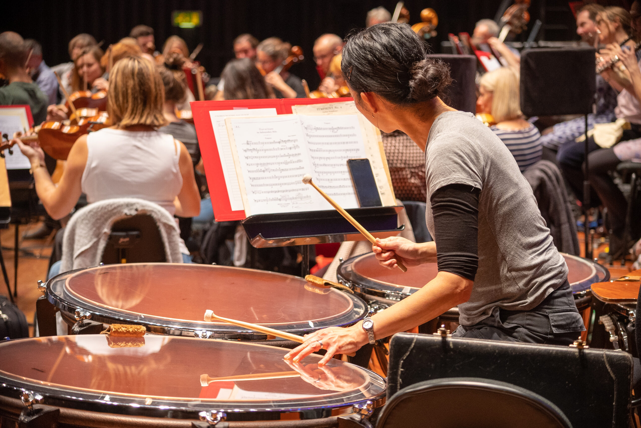 Principal Timpani Bournemouth Symphony Orchestra
