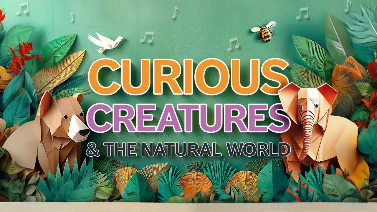 BSO On Your Doorstep: Curious Creatures Family Concert