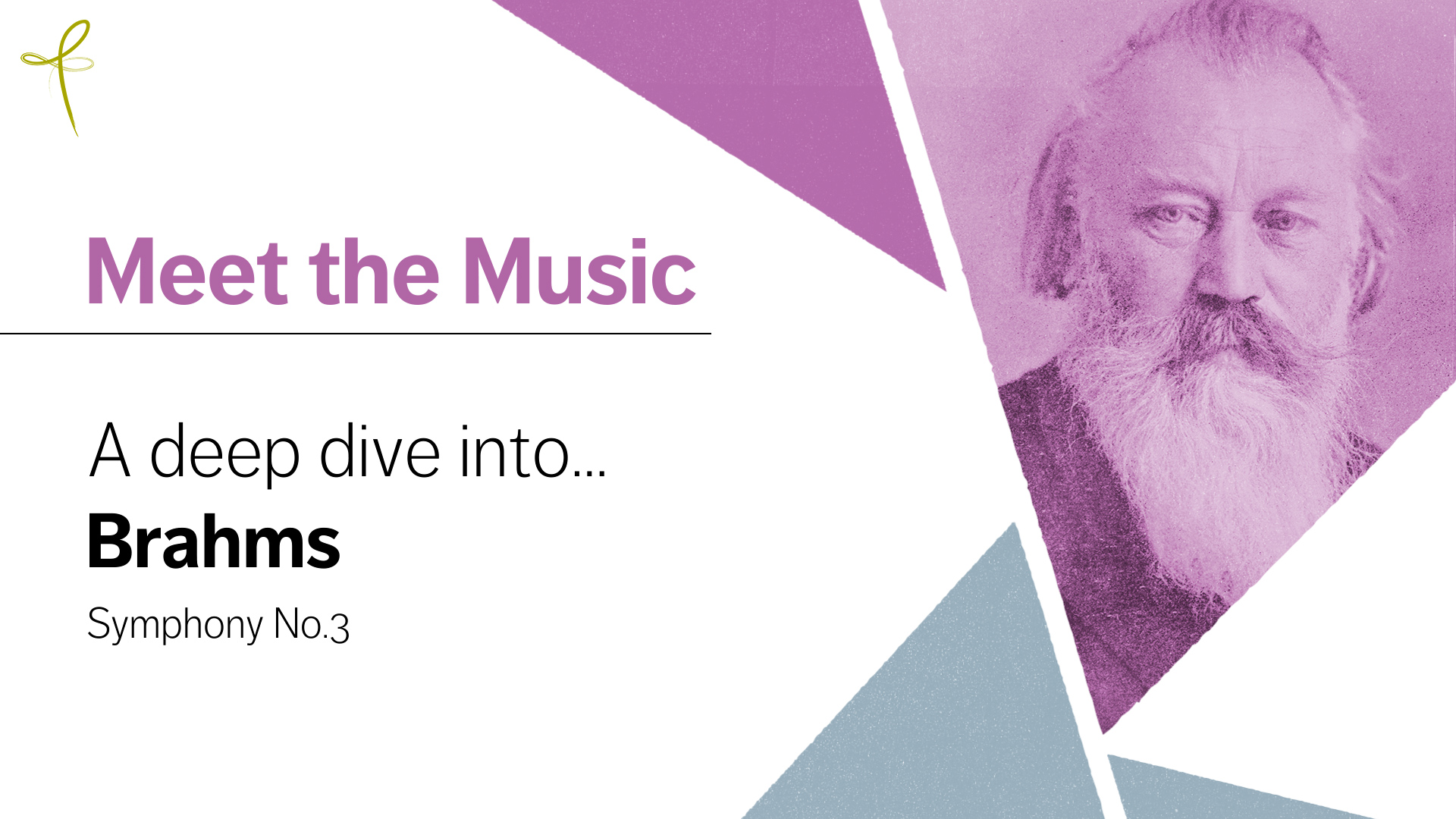 header image for "Meet the Music" with the BSO logo and a photo of Johannes Brahms.