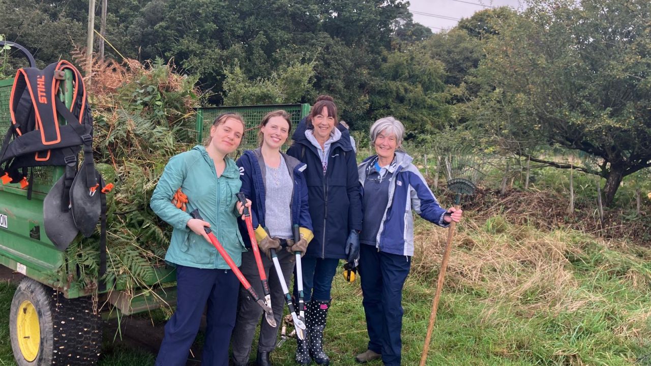 Hedging our bets…BSO Green Team helps out in the community!