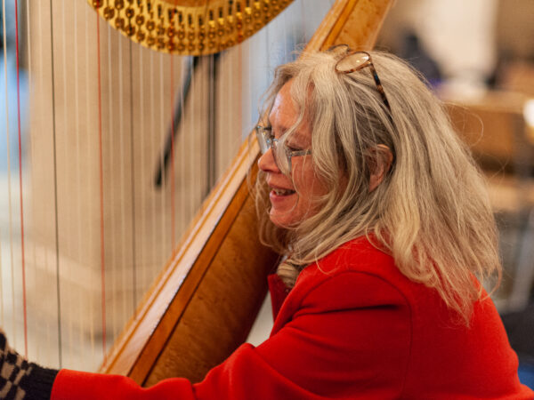 Cake Concert: Lymington