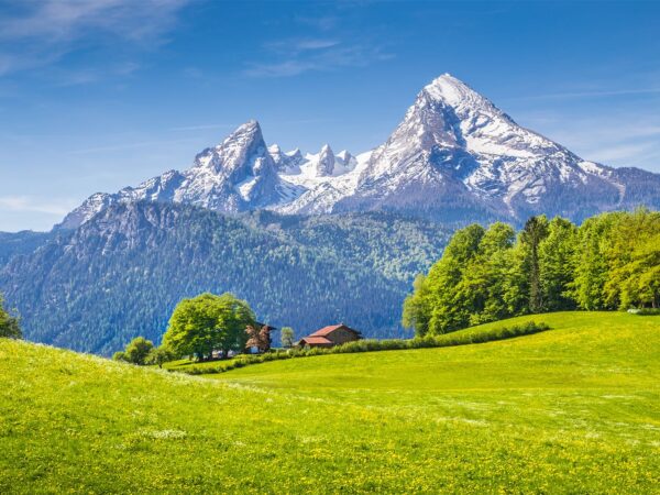 Julie Andrews: A Celebration